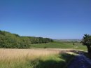 Vignoble de Sézanne